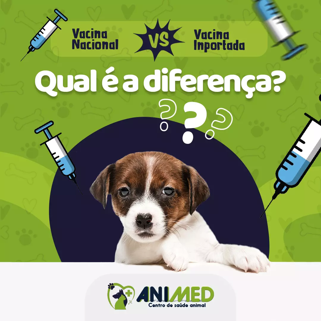 Pet Shop Próximo - Animed Clínica Veterinária Clínica Veterinária